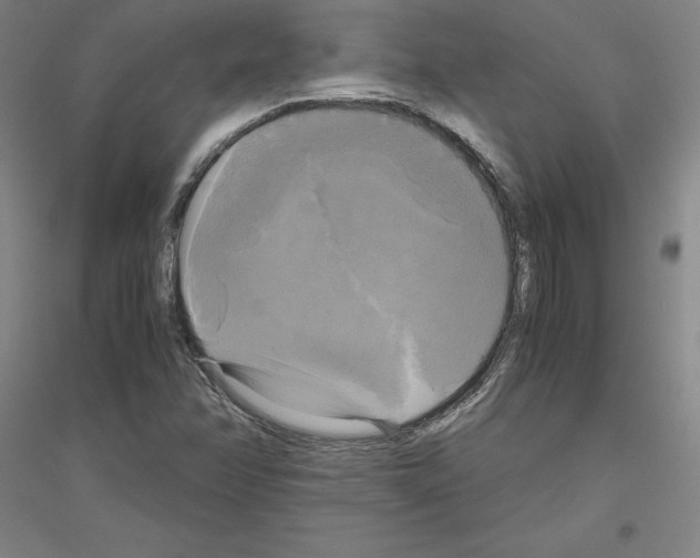 X0000116801358201001291531