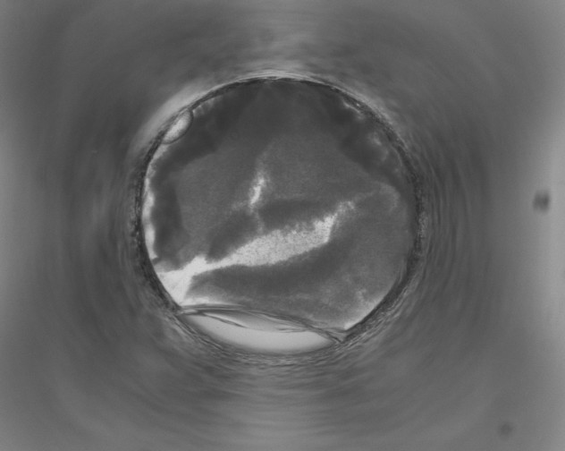 X0000116801359201001291531