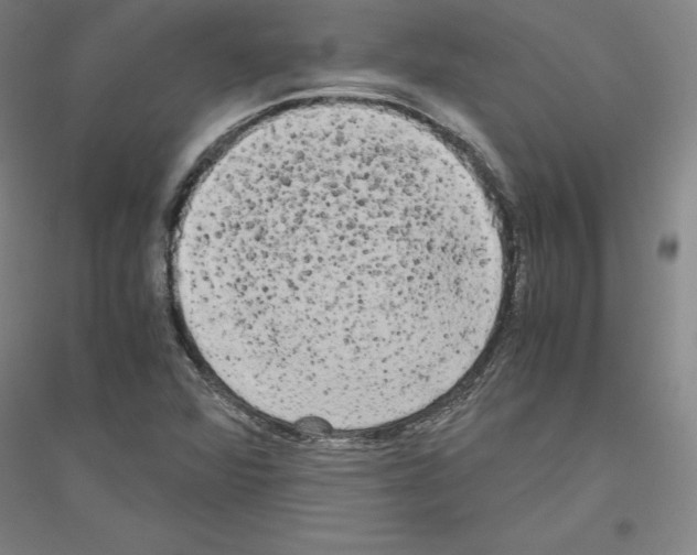 X0000116801360201001291531