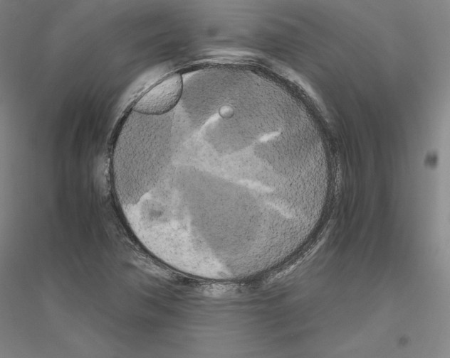 X0000116801362201001291531