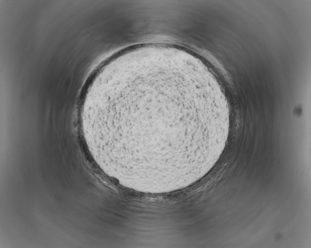 X0000116801364201001291531