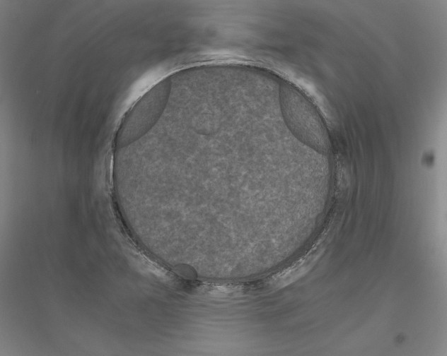 X0000116801365201001291531