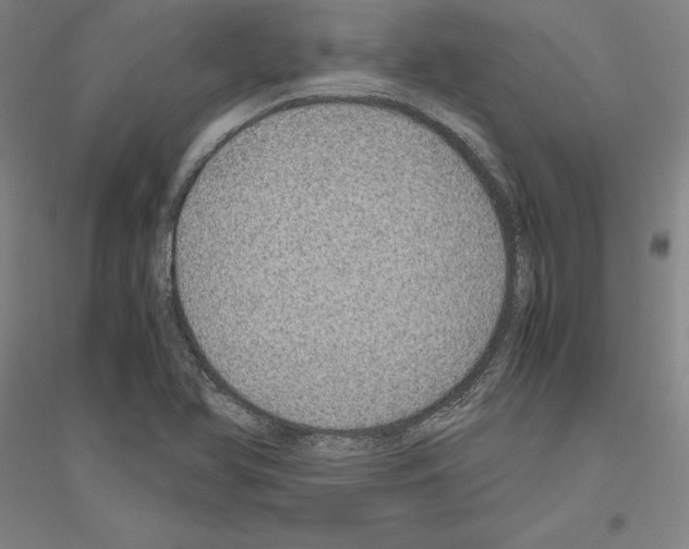 X0000116801366201001291531