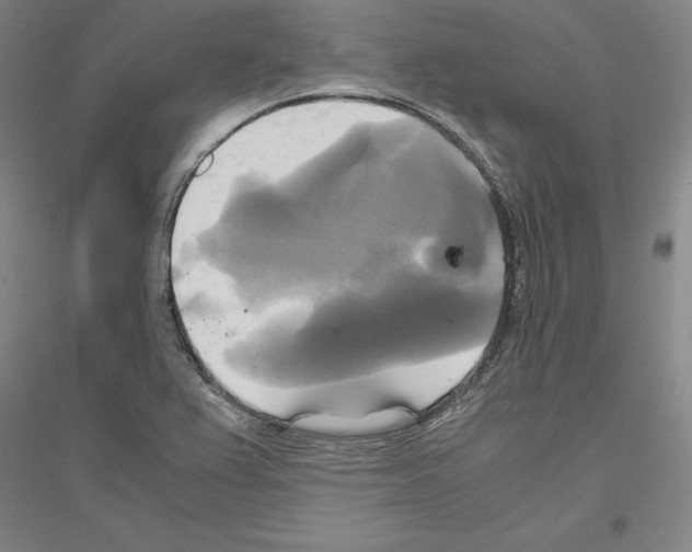 X0000116801367201001291531