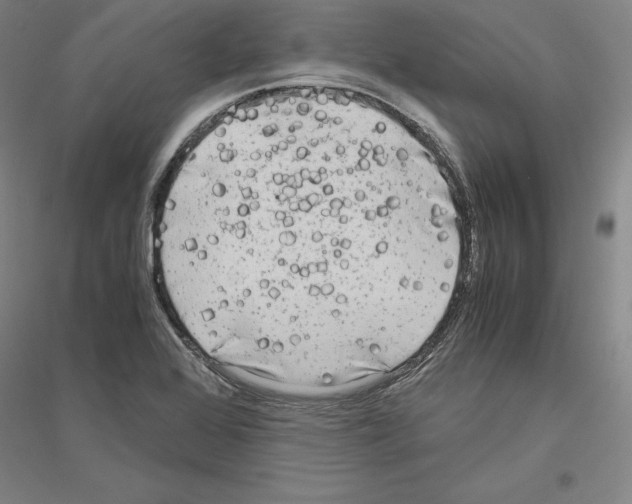 X0000116801368201001291531