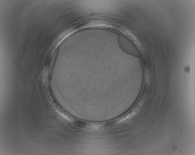 X0000116801369201001291531
