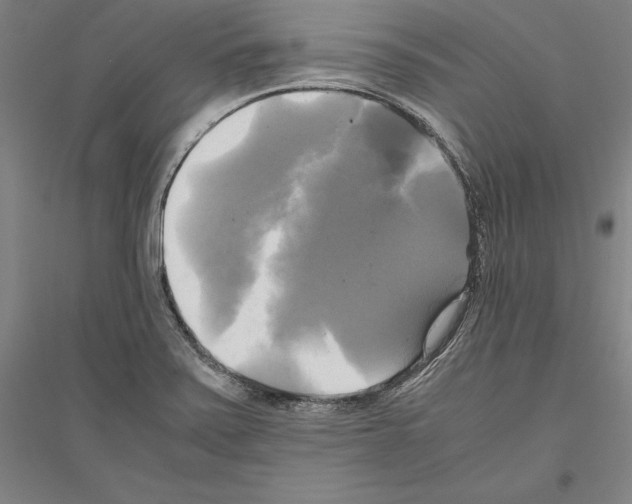 X0000116801371201001291531