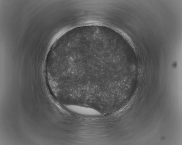 X0000116801373201001291531