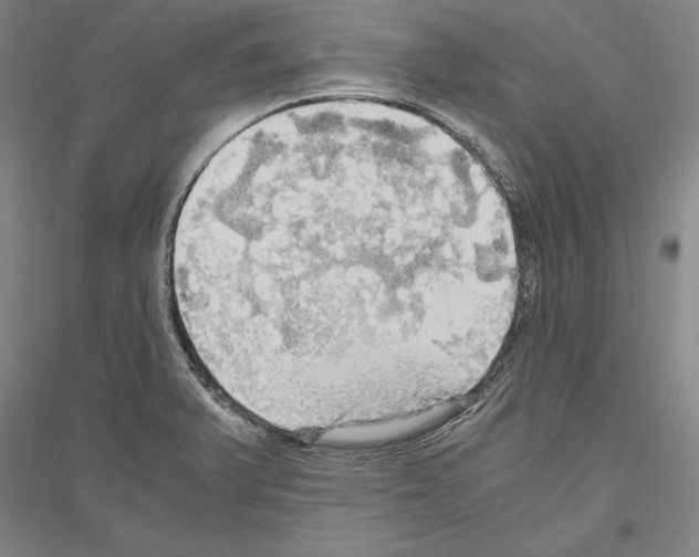X0000116801375201001291531
