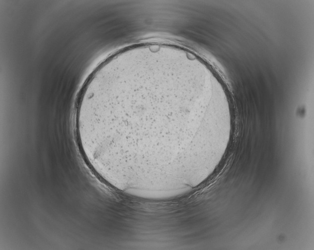 X0000116801376201001291531