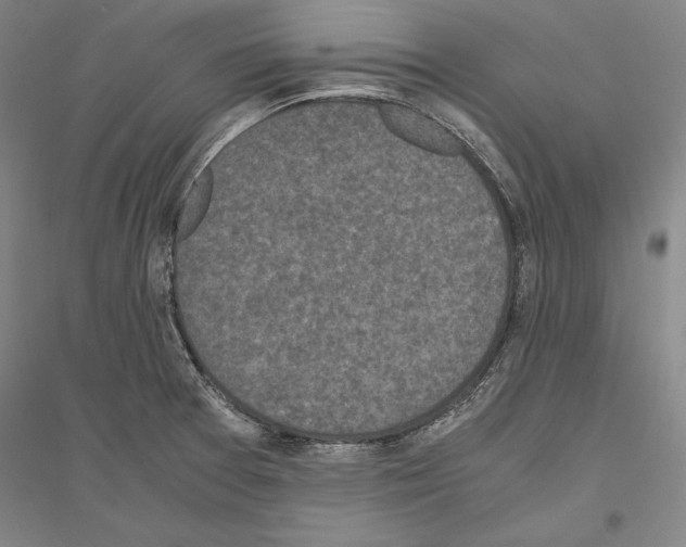 X0000116801377201001291531