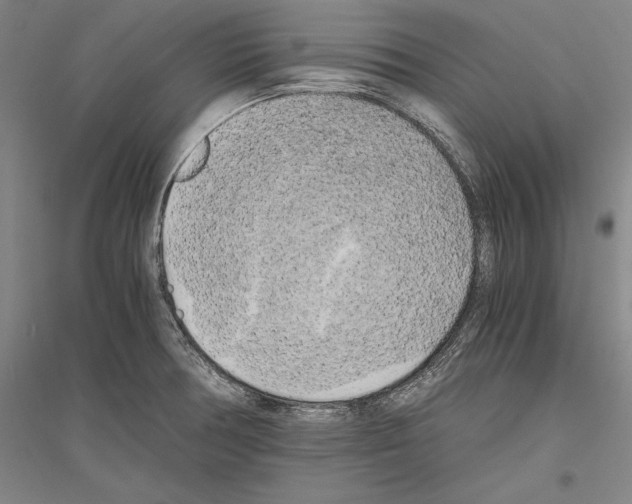 X0000116801378201001291531