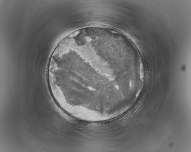 X0000116801379201001291531