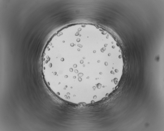 X0000116801380201001291531