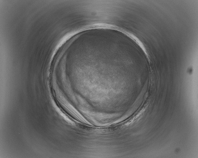 X0000116801381201001291531