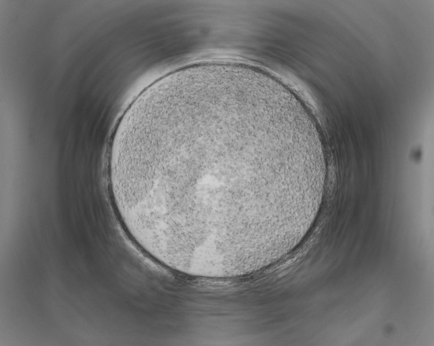 X0000116801382201001291531