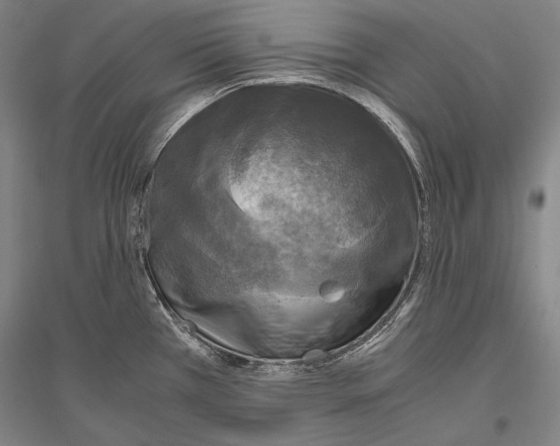 X0000116801385201001291531