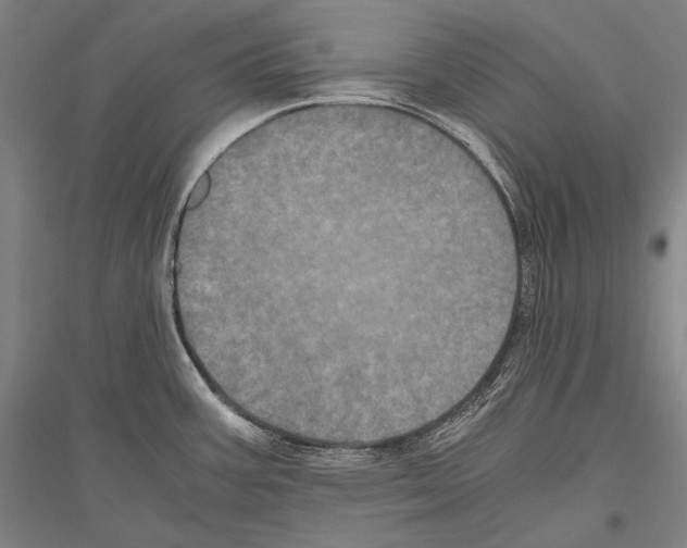 X0000116801387201001291531
