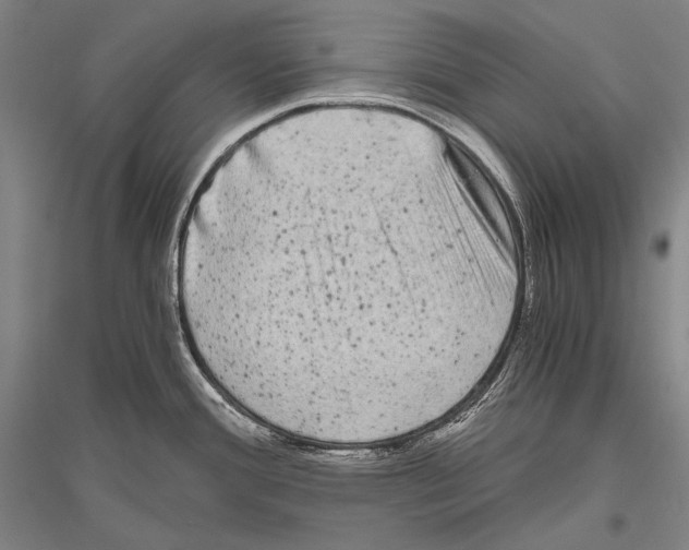 X0000116801388201001291531