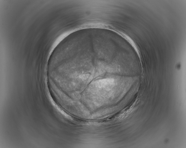 X0000116801389201001291531