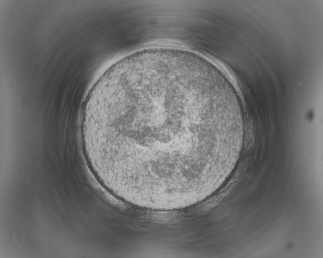 X0000116801390201001291531