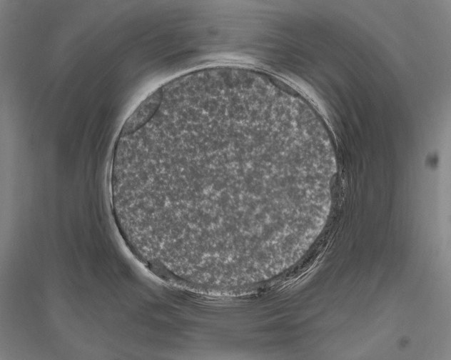 X0000116801391201001291531