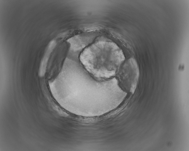 X0000116801393201001291530