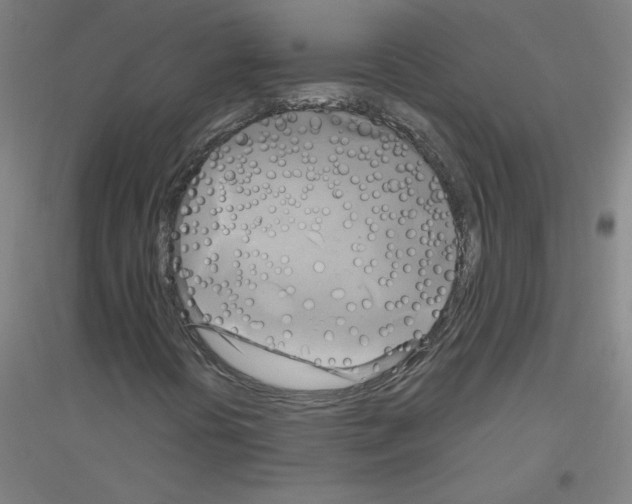 X0000116801394201001291530