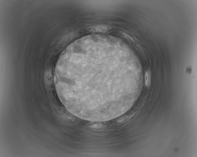X0000116801395201001291530