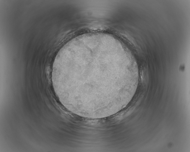 X0000116801396201001291530