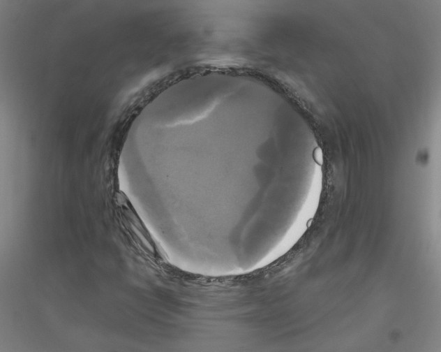 X0000116801398201001291530