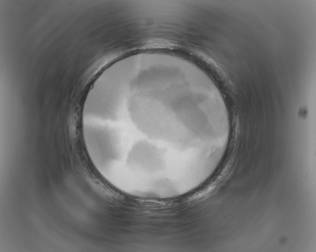 X0000116801401201001291530