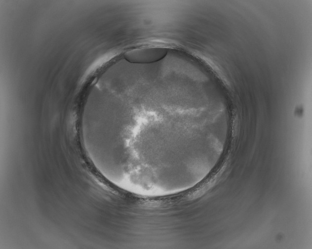 X0000116801402201001291530
