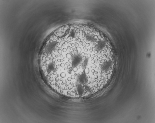 X0000116801404201001291530