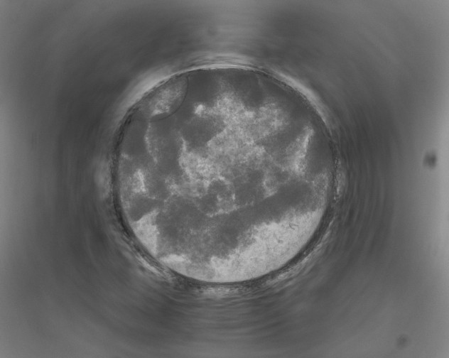 X0000116801407201001291530