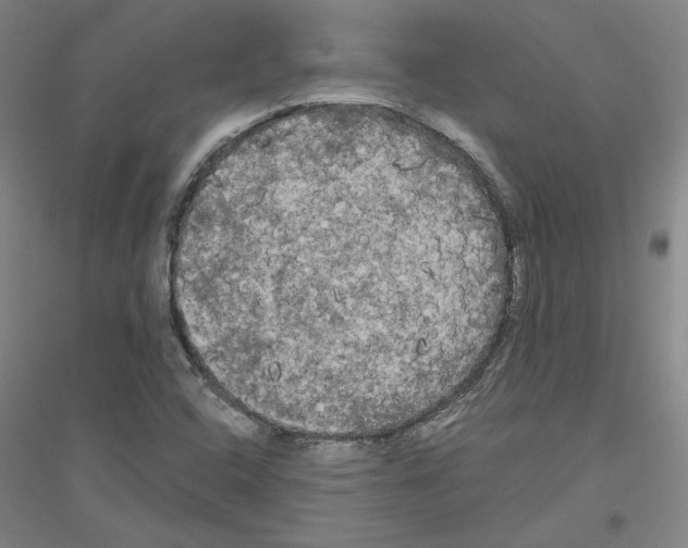 X0000116801408201001291530