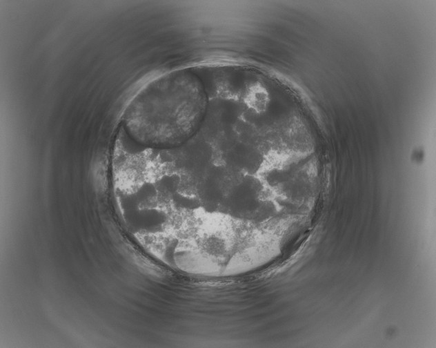 X0000116801409201001291530