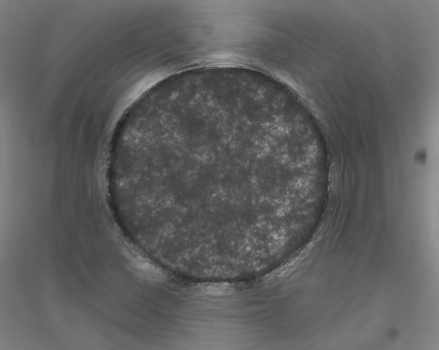 X0000116801410201001291530