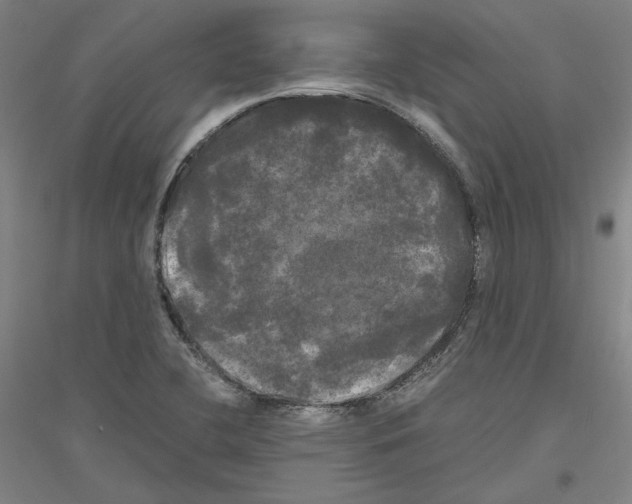 X0000116801412201001291530