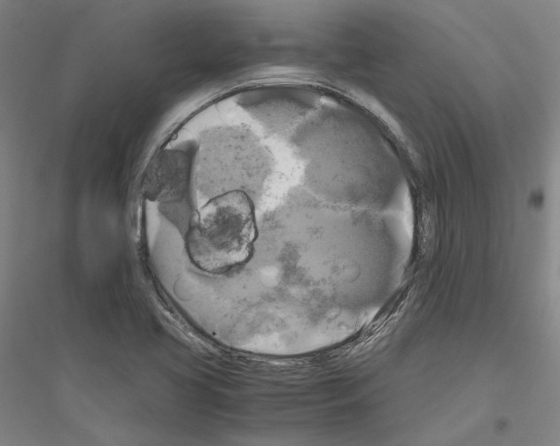 X0000116801413201001291530