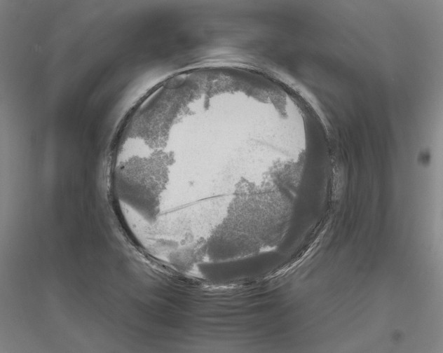X0000116801415201001291530