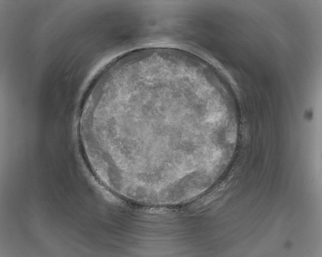 X0000116801416201001291530
