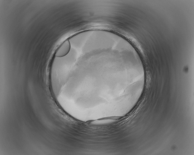 X0000116801419201001291530