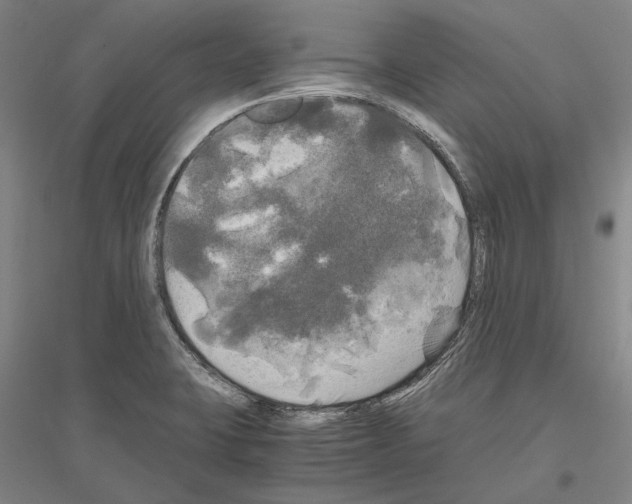 X0000116801423201001291530