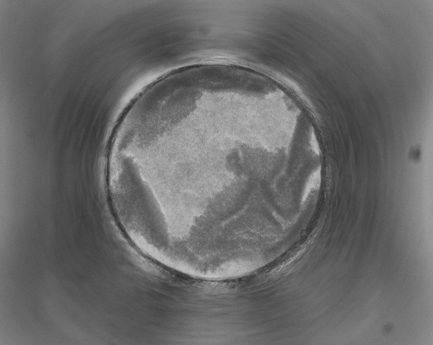 X0000116801424201001291530
