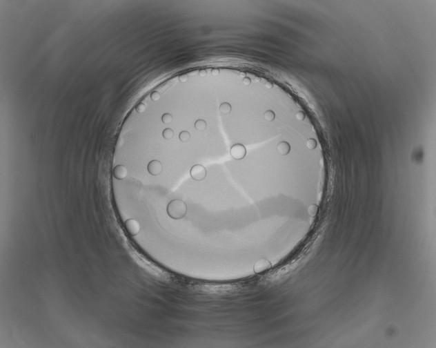 X0000116801425201001291530