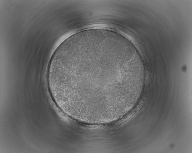 X0000116801426201001291530