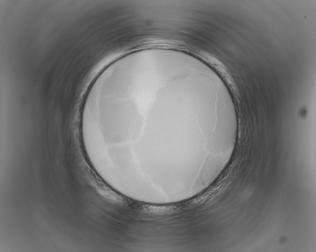 X0000116801427201001291530