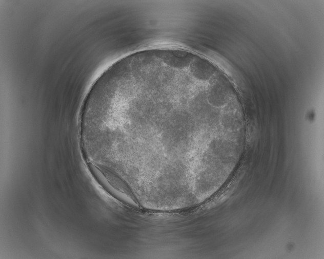 X0000116801430201001291530