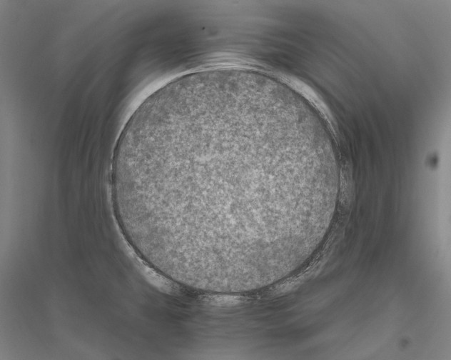 X0000116801431201001291531